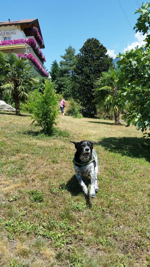 Pension Weinberg Rifiano Dış mekan fotoğraf